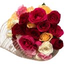 Elegância em Rosas