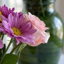Vaso de Flores do Campo Mix Luxuoso Com Chocolate
