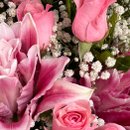 Vaso de Flores cor de Rosa