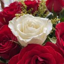 Cesta de 29 Rosas Vermelhas e 1 Rosa Branca