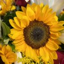 Buquê de Girassóis com Rosas e Lírios