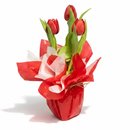 Tulipas Vermelhas Naturais