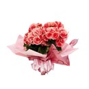 Linda Begônia Rose 