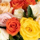 Buquê de 40 Rosas Coloridas