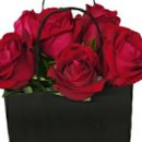  Rosas Vermelhas Bag