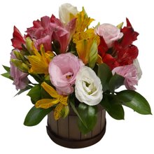 Arranjo de Astromélias e Lisianthus  Lindo Dia