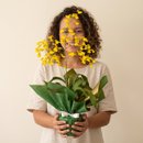 Orquídea Chuva de Ouro