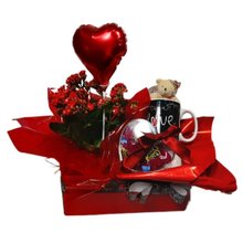 Cesta Kalanchoe Carinhoso