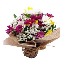 Arranjo Margaridas Coloridas