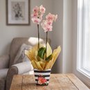 Orquídea Amarela Rajada 