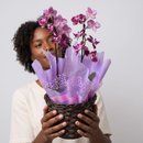 Mini Orquídea Rosa 