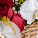 Orquídea com Rosas Vermelhas 