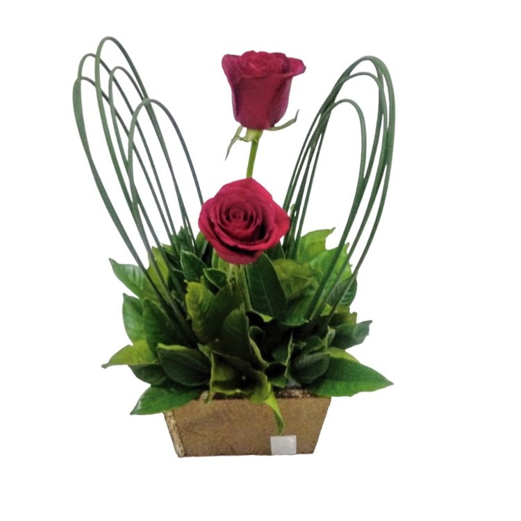 Arranjo Duas Rosas Especiais