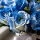 20 Rosas Tingidas de Azul  no Vaso