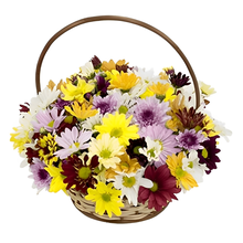 Cesta De Flores Do Campo Coloridas