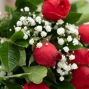 Buquê 6 Rosas Com Gipsofila
