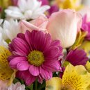 Vaso Encanto das Flores 