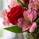 Vaso Amor em Mix de Flores
