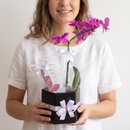 Orquídea Phalaenopsis E Perfumados Sabonetes 