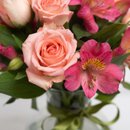 Beleza de Astromélias Rosadas 