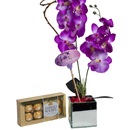 Orquídea Phalaenopsis  e Ferrero Rocher