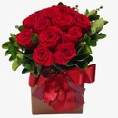 Caixa Compacta 12 Rosas Vermelhas 