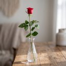 Solitário de Rosa Vermelha Eu Te Amo