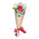 Cone DE Rosas
