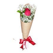 Cone DE Rosas