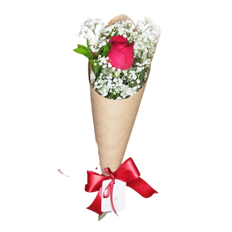 Cone DE Rosas