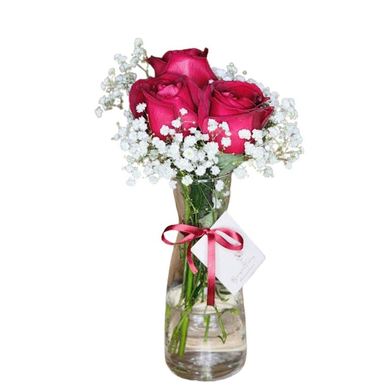 Trio de rosas no vidro