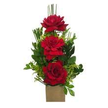 Arranjo de Três Rosas Colombianas
