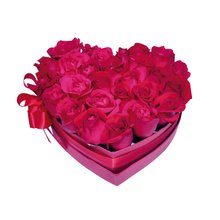 Box Rosas Vermelhas 