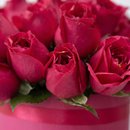Box Rosas Vermelhas