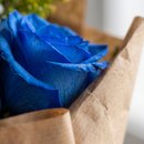 Buquê Azul Blue