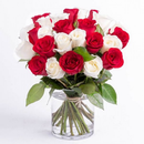 Arranjo com 24 Rosas vermelha e branca