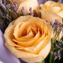 Mimo 3 Rosas Champagne