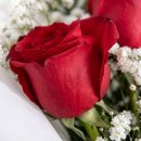 Mimo 3 Rosas Vermelhas