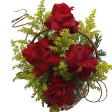 Cesta  Rosas Vermelhas