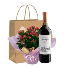 Presente Kalanchoe e Vinho
