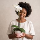 Orquídea Branca em Vaso Artesanal 
