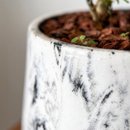 Árvore da Felicidade em Vaso Artesanal