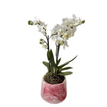 Orquídea Branca em Vaso Artesanal Marmorizado