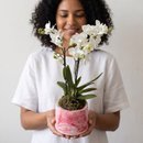 Orquídea Branca em Vaso Artesanal Marmorizado