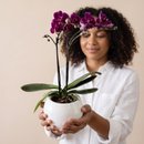 Orquidea em Vaso de Cerâmica Branco