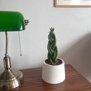 Lança Trançada de São Jorge no Vaso Artesanal