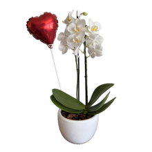 Orquídea Branca com Coração em Vaso de Cerâmica Branco