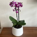 Orquidea Violeta em Vaso Artesanal Branco