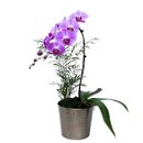 Orquidea Pink Em Vaso Dourado