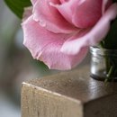 Mini Rosa Em Cubo Dourado